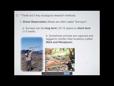 What Are The Types of Ecological Research?
