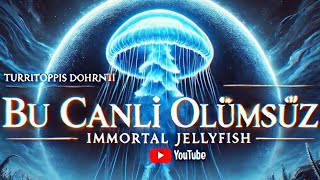 Ölüm Ona İşlemiyor! Bu Denizanası Neden Ölümsüz?