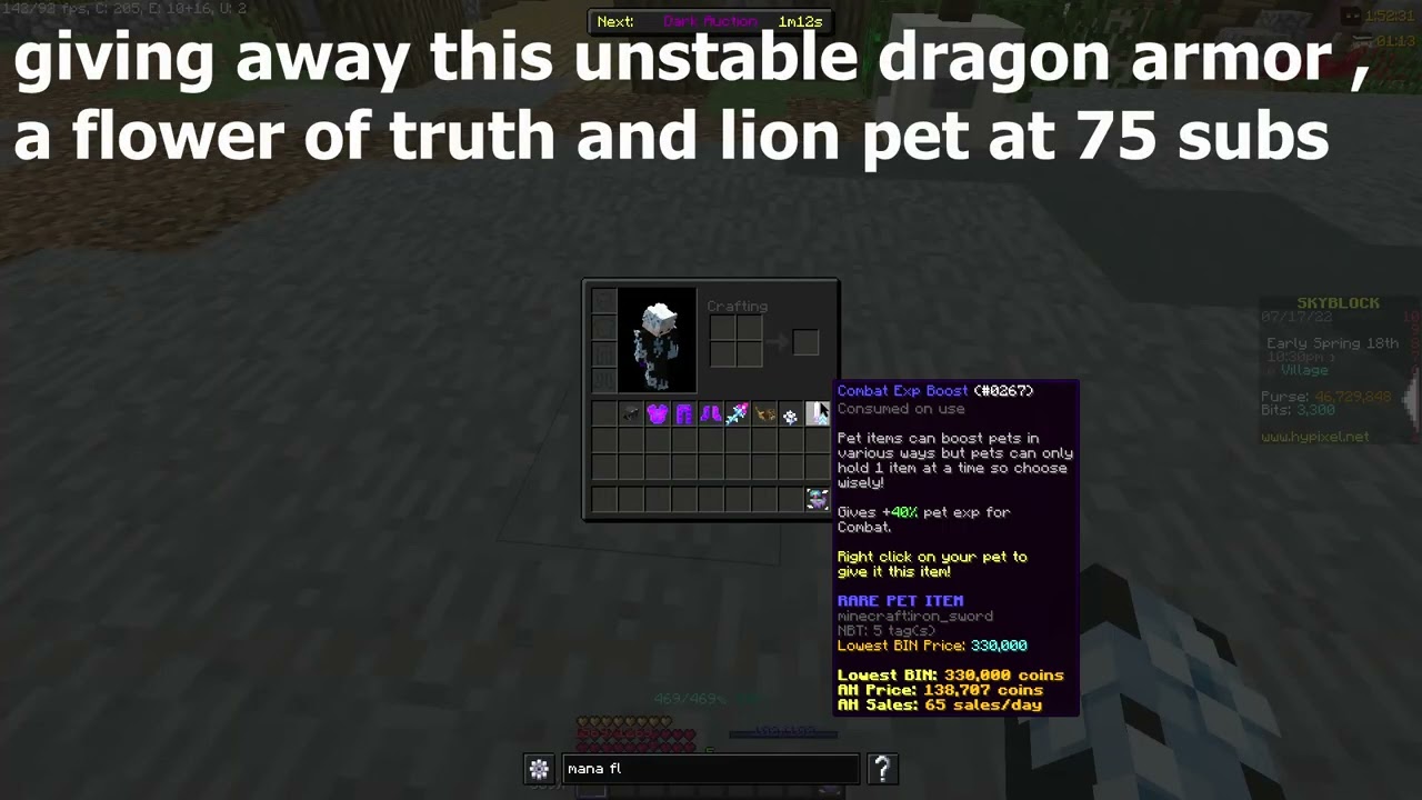 giveaway (hypixel skyblock)