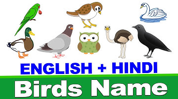 पक्षियों का नाम | Learn Name of Birds | Desi Engine India