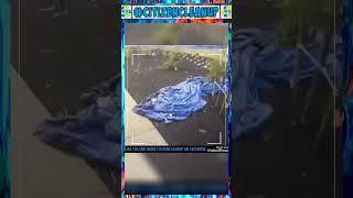 🧽 TARP Find | Illegal Dump BUSTED 🚨
