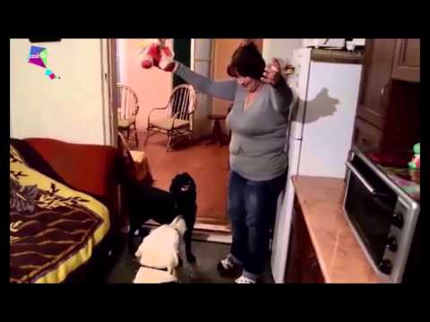 გააოცე სიყვარულით-რუსლან მამედოვი