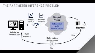 Lecture 5: Parameter Inference Part 1