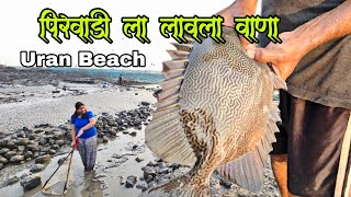 पिरवाडी (उरण) च्या खडकात लावला वाणा | पारंपरिक वाणा मासेमारी | Mullets | Vana FISHING | Big Size Net