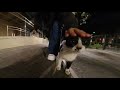 ネコミミちゃんは午前2時頃にBGCタギッグを歩いていて、かわいいタキシード猫に会いました😍 #shortsfeed #shortsviral #shortsvideo 