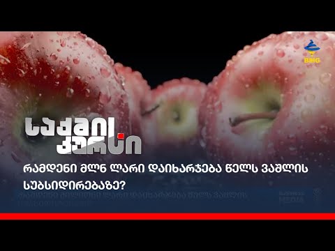 რამდენი მლნ ლარი დაიხარჯება წელს ვაშლის სუბსიდირებაზე?