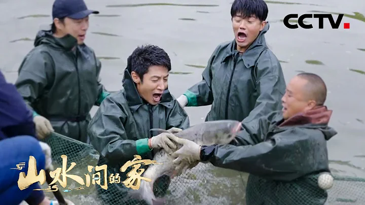 撒貝南下河撈魚，立刻被魚猛「親」了一口！| CCTV「山水間的家」 - 天天要聞