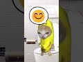 The Story of Banana Cat😹🍌｜Toilet💩💩💩