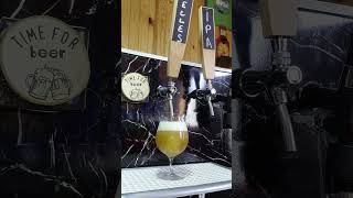 SHORTS 58 - My beer Munich Helles on tap at DiPoL Homebrewing #shorts #shortsclip #shortvideo #short