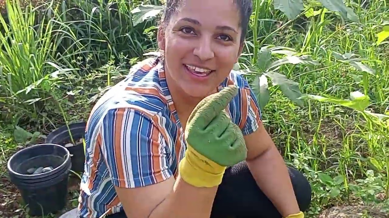 Dia de limpeza e colheita na horta!