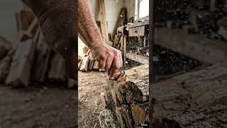 Tiny Chainsaw Cutting Wood 😱 MiniTool Lab #shorts #asmr #shortsvideo #fyp
