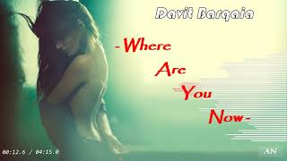 Davit Barqaia - "Where Are You Now" //Original mix//