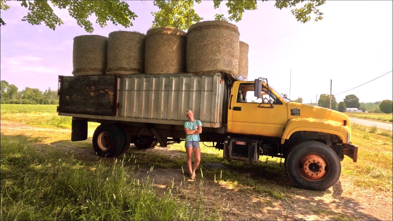 Время возить сено…🐄🚜 #молочнаяферма