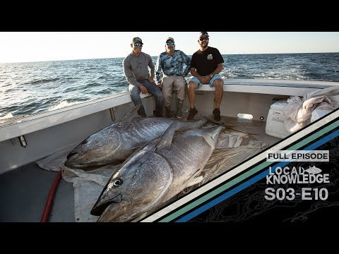 Tuna Fishing Videos 