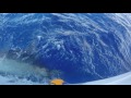 2017 Bermuda Billfish Blast | Team Sea Striker | Blue Marlin