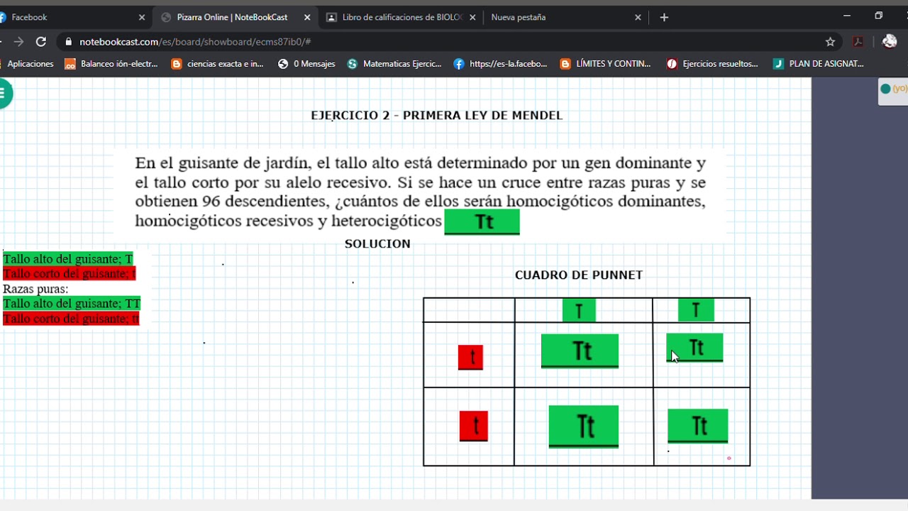 EJERCICIO 2 PRIMERA LEY DE MENDEL YouTube