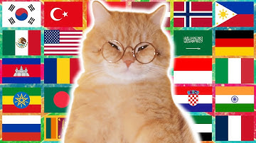 Ay Mi Gatito Miau Miau in 70 Languages Meme