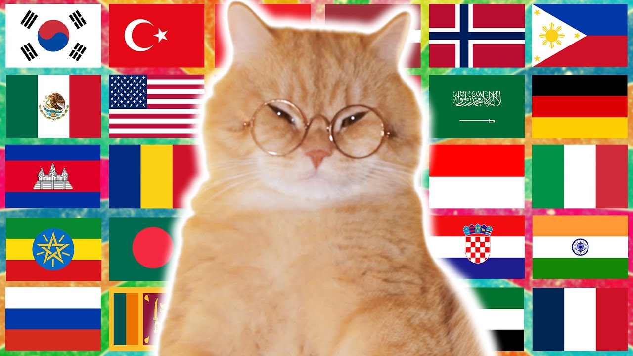 Ay Mi Gatito Miau Miau in 70 Languages Meme - YouTube
