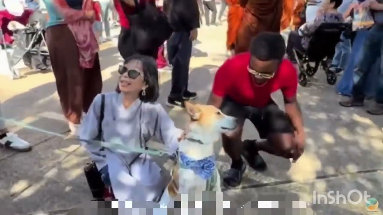 Walk for Peace 🙏🙏🙏🙏🙏