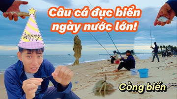 Câu cá đục ngày nước lớn!| caucabien86