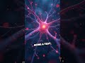 Your Brain’s Secret Countdown to Action