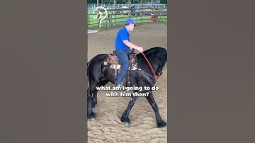 Tips For Working With A Hot Horse! Part 4 | The Horse Guru - Michael Gascon