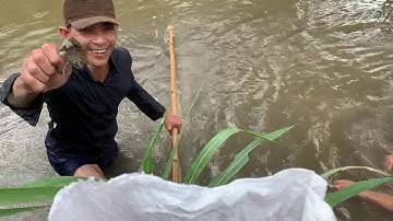 Kéo Ếch Đồng Bằng Lưới Kéo Cá Và Cái Kết...