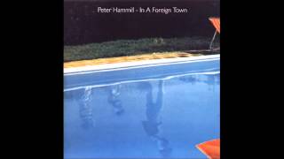 Watch Peter Hammill This Book video