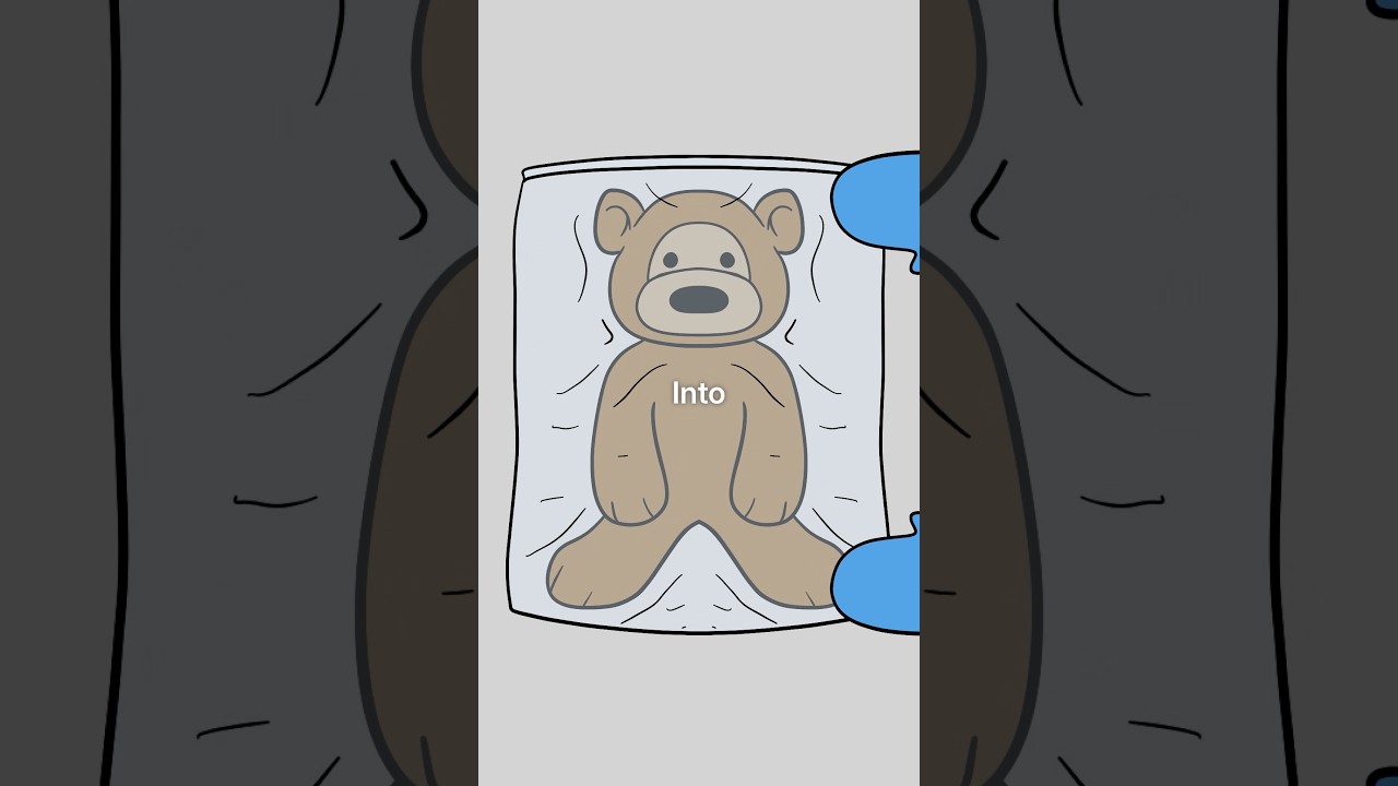 Where Donated Teddy Bears REALLY Go