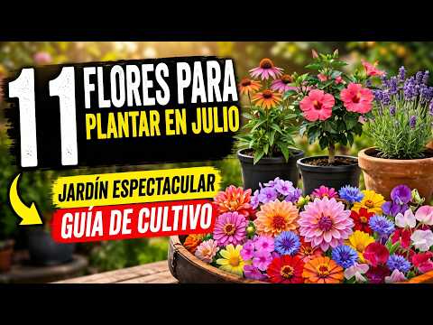 No esperes mas | 11 FLORES para JULIO que necesitas plantar!