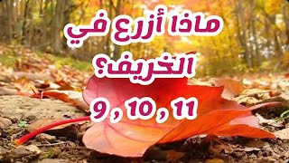 ماهي النباتات التي تزرع في الخريف؟ شهر (9 10 11) ونصائح مهمة حول طريقة زراعتها؟ Autumn Crops