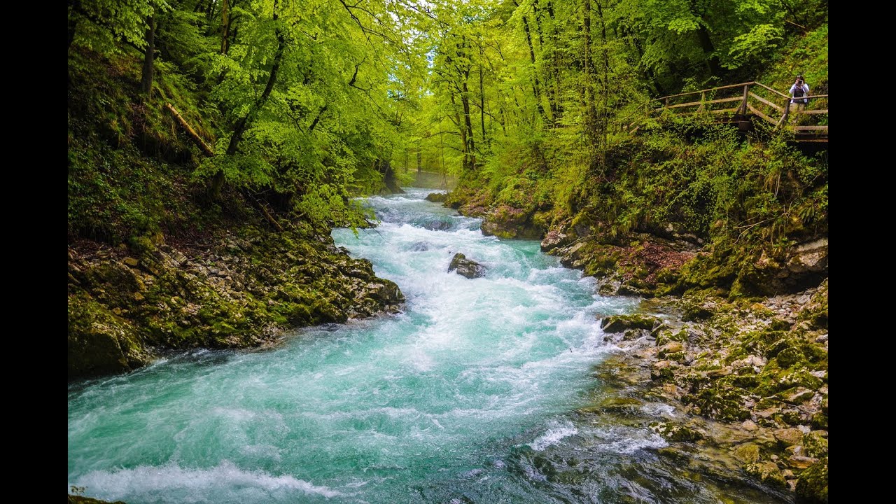 Vintgar Gorge - Slovenia, Bled