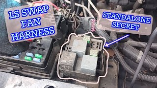 LS Swap Electric Fans - Standalone Wiring Harness that is better than free. by Wil's Workshop 7,122 views 7 months ago 7 minutes, 36 seconds