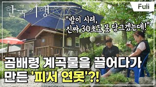 [Full] 한국기행  강원 여름 고수 1부 천상의 여름, 곰배령