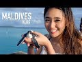 WHAT WE DID IN MALDIVES