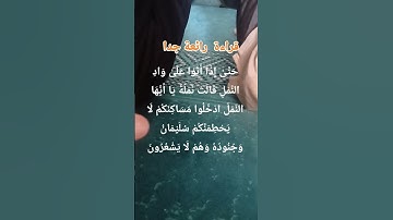#القرآن_الكريم #تلاوات #راحة_نفسية #المصحف #صلوا_على_النبي المصطفى صلى الله عليه وسلم