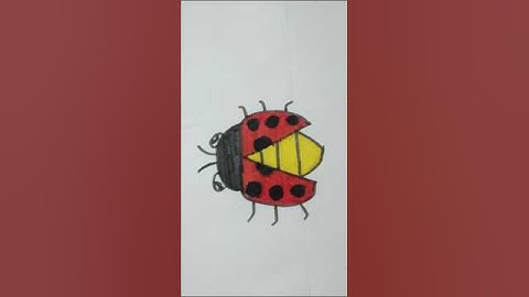 The Art of Creating Ladybird Vector Art#art##@svart70
