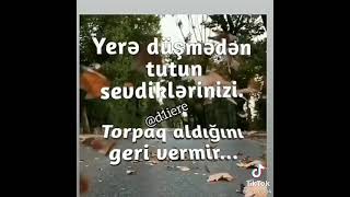 Whatsapp Ucun Maraqli Statuslar Sevgiye Aid Video Sounds App 2021 Status Ucun Video,Menali Video