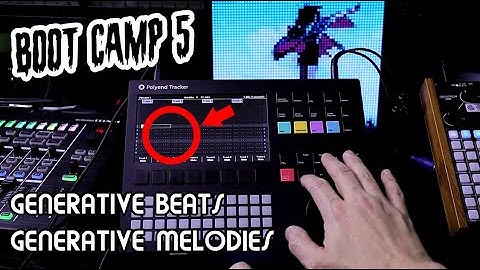 Generative Euclidean Beats and Synths - Polyend Tracker Boot Camp Pt. 5 // Polyend Tracker Tutorial