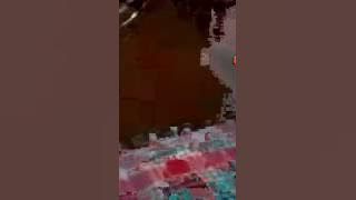 Bigo Live  Jaipongan Ala Tante Kimaya, Serrr2018
