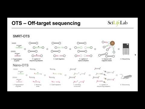 Video: VARSCOT: Variantmedveten Upptäckt Och Poängning Möjliggör Känslig Och Personlig Off-target-upptäckt För CRISPR-Cas9