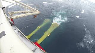 Regina C  Shrimp Trawling in Greenland