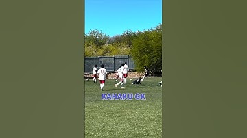 Would have been a nice catch #mlsnext #cityscmlsnext #goalkeeper #catchthat