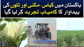 Cotton, maize and sesame production have been successfully experimented in Pakistan - Aaj News