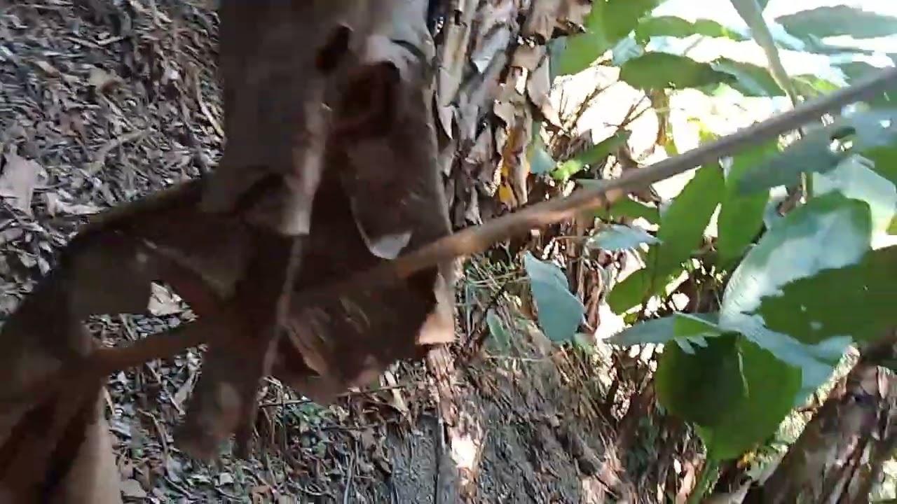 Vawin tumbu ka khawrh na