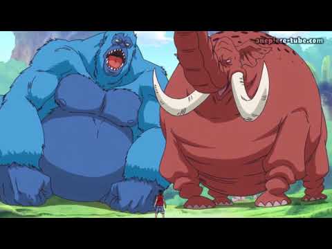 Video Silvers Rayleigh teaches Luffy about Observation Haki... - youtube