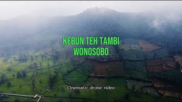 Keindahan wisata Kebun Teh Tambi Wonosobo | Cinematic 4K drone video
