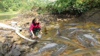 Amazing Fishing - Modern Technology Catch A Lot Of Fish - Pump Fishing Technique - Survival Skills