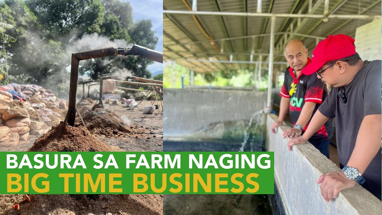 BCV Farm Update: How Farm's Waste Problem ay naging 700K Additional Income!