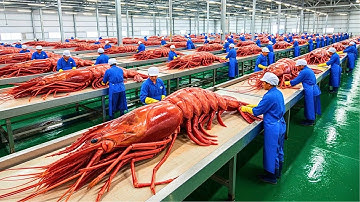 Hoe miljoenen tonnen garnalen worden gevangen en verwerkt - Een kijkje in de Amerikaanse garnalen...